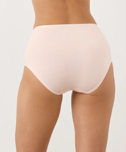 everyday high rise brief
