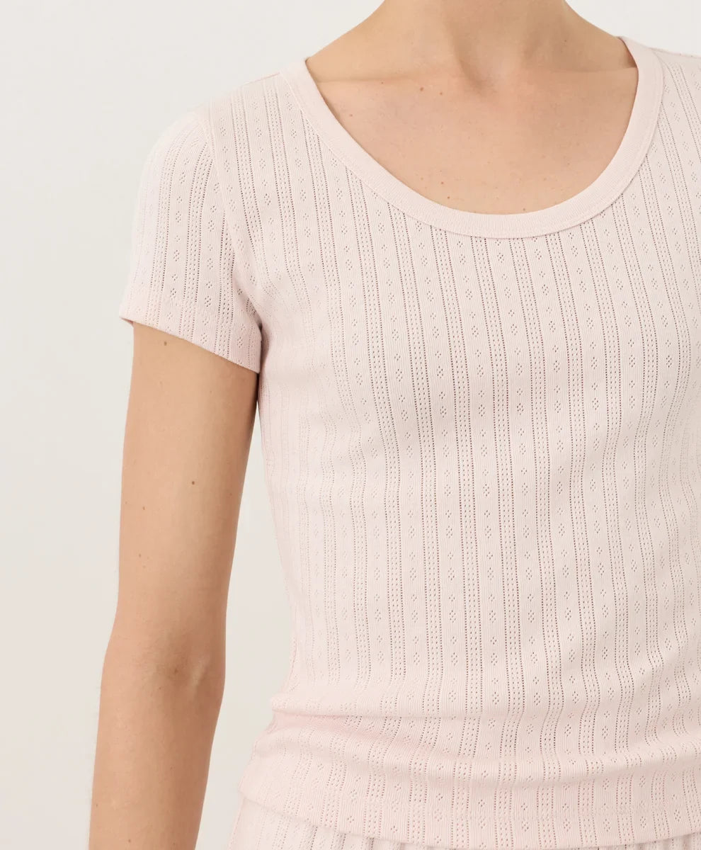 clearance pointelle scoop neck tee