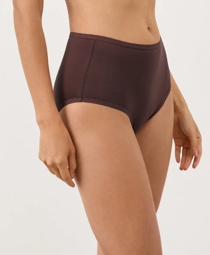 everyday high rise brief