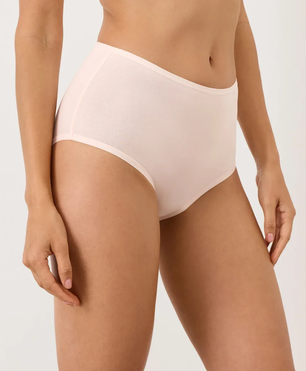 everyday high rise brief