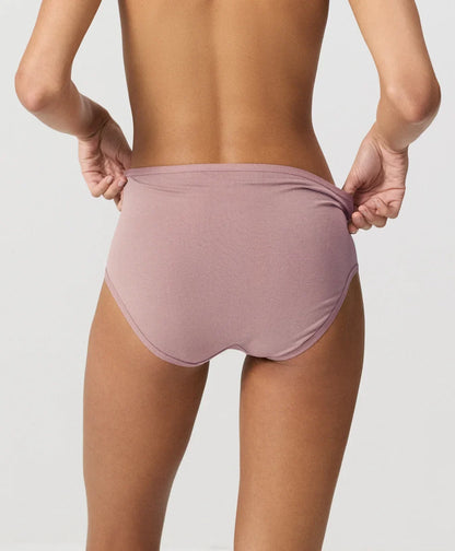 clearance everyday high rise brief