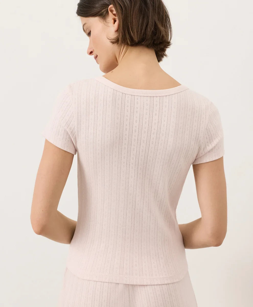 clearance pointelle scoop neck tee