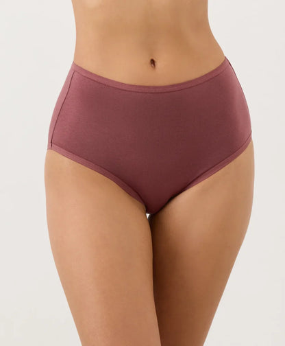 clearance everyday high rise brief